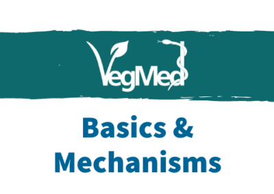 VegMed 2021 – Basics & Mechanisms